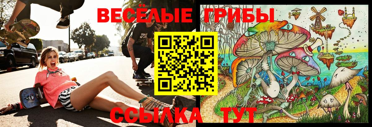 Галлюциногенные грибы ЛСД Астрахань